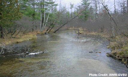 A stream flowing through a wood.